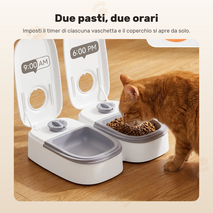 Le due vaschette impostate su orari diversi, con un gatto rosso che mangia dalla prima