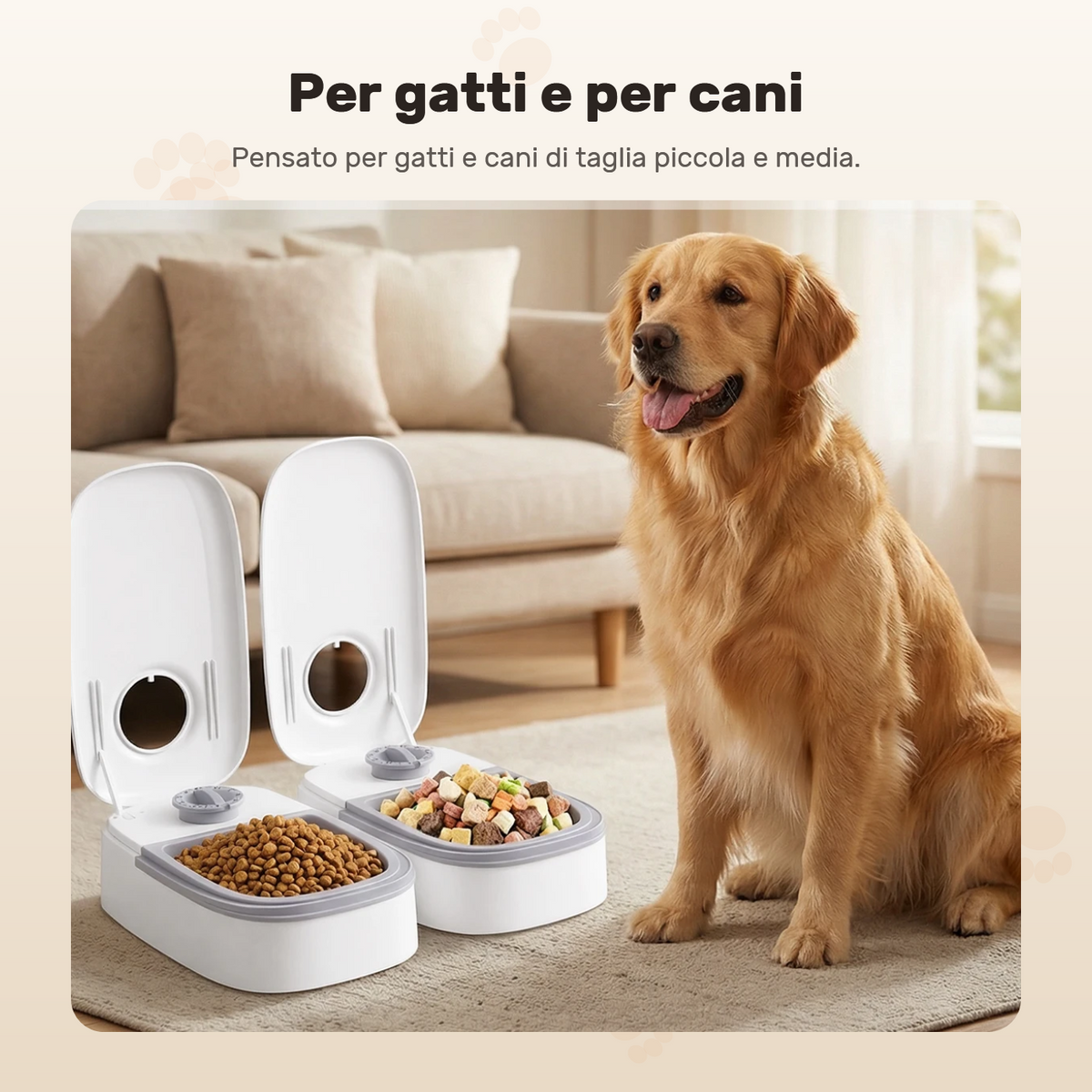 Golden retriever seduto accanto alle due vaschette, una con crocchette e una con cibo umido