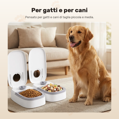 Golden retriever seduto accanto alle due vaschette, una con crocchette e una con cibo umido