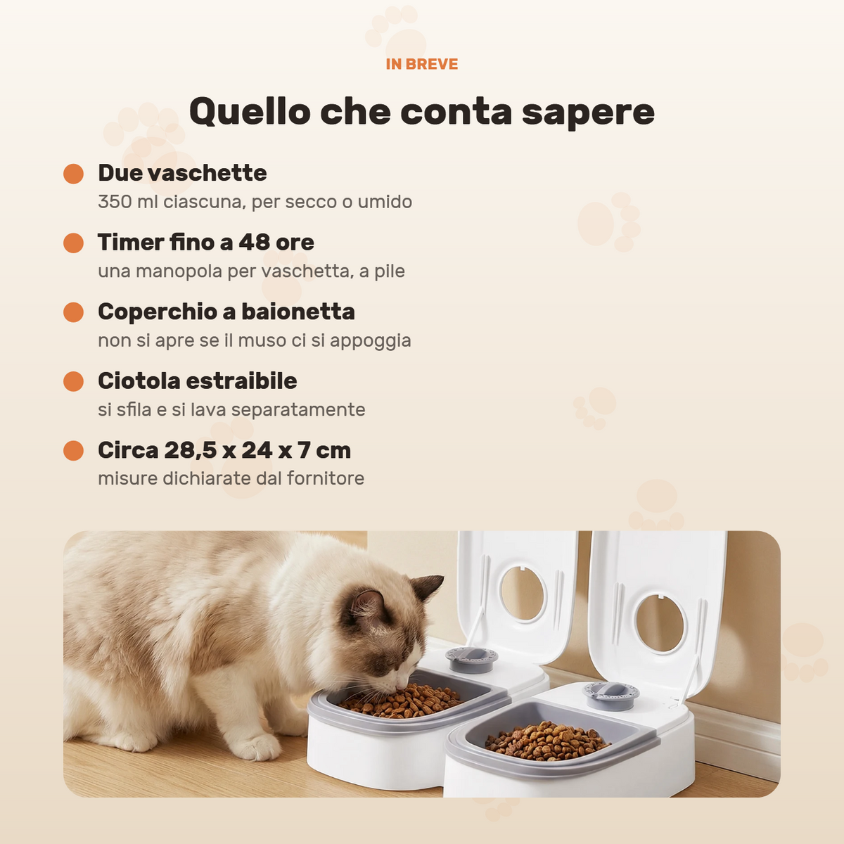 Scheda riassuntiva con le caratteristiche e un gatto che mangia dal distributore