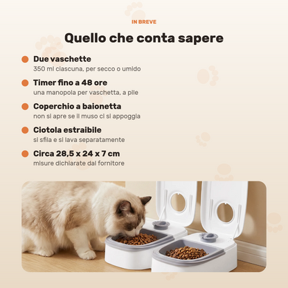 Scheda riassuntiva con le caratteristiche e un gatto che mangia dal distributore