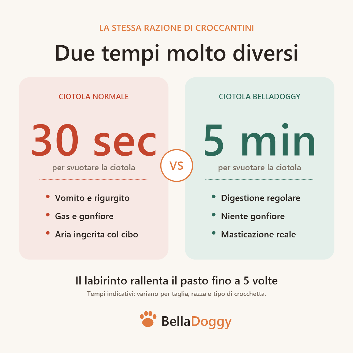 Confronto tempi del pasto: 30 secondi con una ciotola normale contro 5 minuti con la ciotola a labirinto BellaDoggy