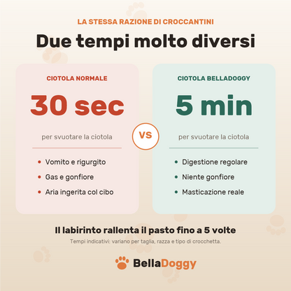 Confronto tempi del pasto: 30 secondi con una ciotola normale contro 5 minuti con la ciotola a labirinto BellaDoggy
