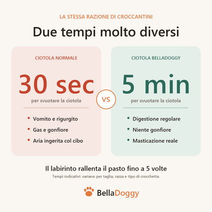 Confronto tempi del pasto: 30 secondi con una ciotola normale contro 5 minuti con la ciotola a labirinto BellaDoggy