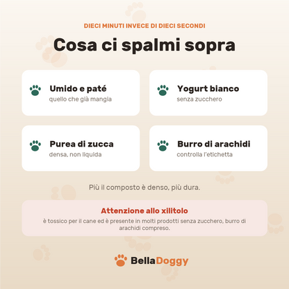 Cosa spalmare sul tappetino: umido e paté, yogurt bianco, purea di zucca, burro di arachidi, con l’avviso sullo xilitolo
